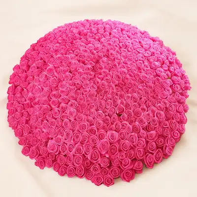 500 Dark Pink Roses Arrangement