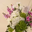 Elegant Blush Meadow Bouquet with Hydrangeas & Carnations
