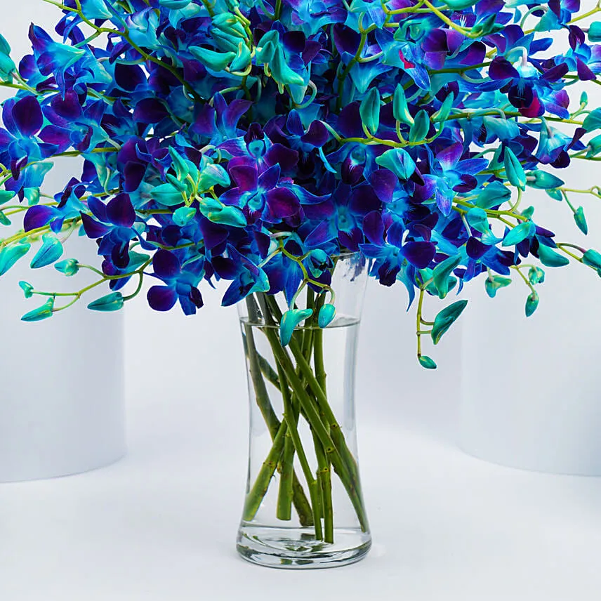 Blue and Purple Orchids Arrangement