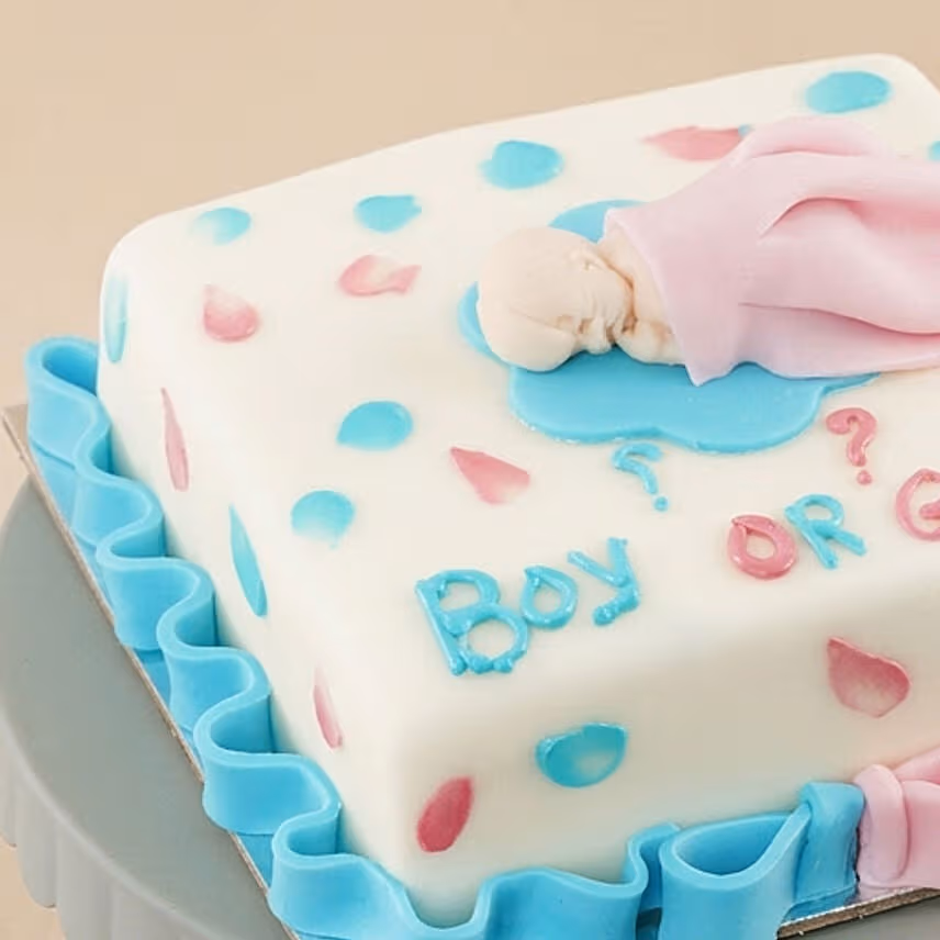 Gender Reveal Celebration Cake