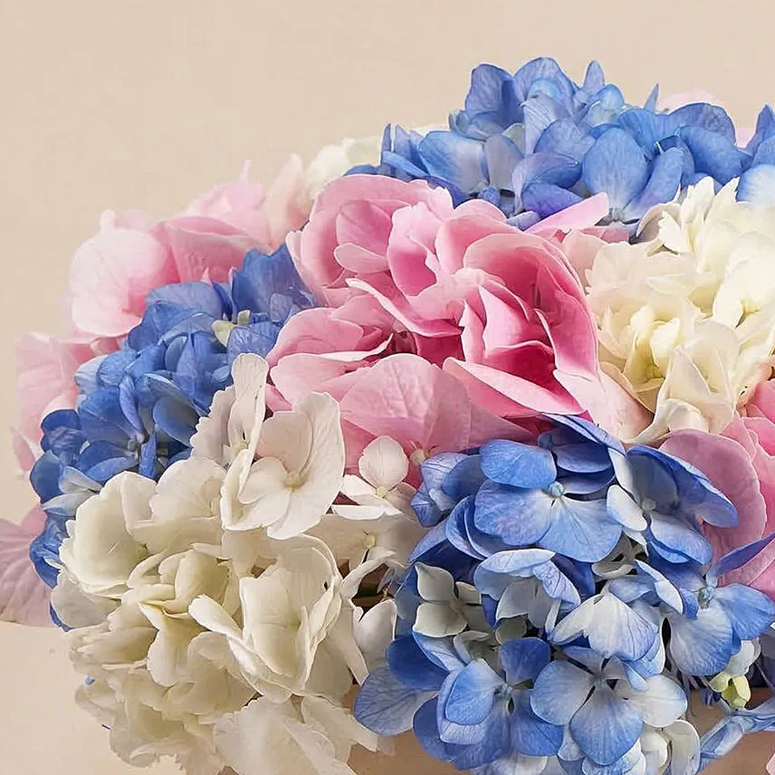 Hydrangeas Flower Box Arrangement