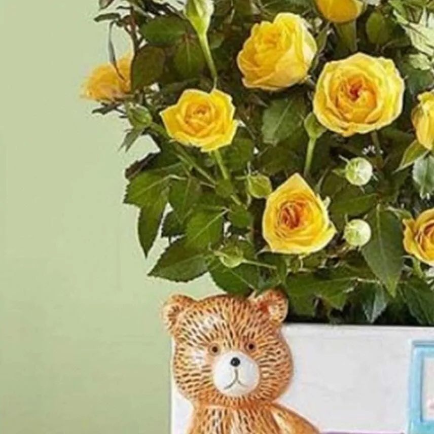Baby Blocks Playtime Roses