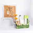 Sunshine & Comfort Get Well Soon Hamper – A Thoughtful Gift for Recovery