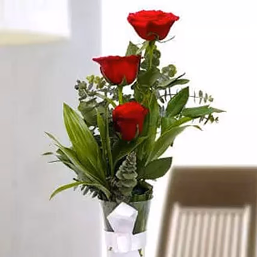 Beauty of 3 Red Roses