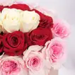 Sweet Valentine Trio - Luxurious 35 Roses in a Pink Oval Box