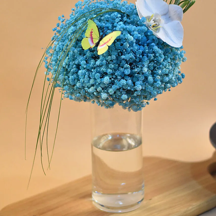 Blue Baby Breath & White Phalaenopsis Vase