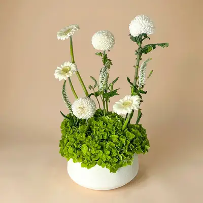 Ivory & Jade Harmony Floral Arrangement