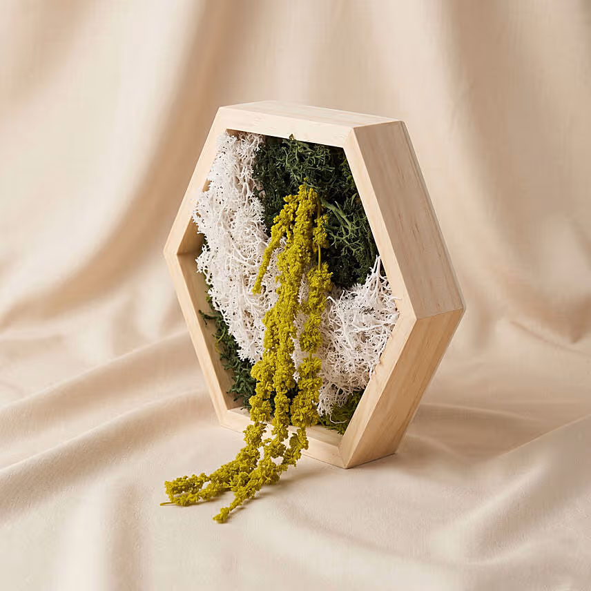 Hexagon Wooden Preserved Moss Wall Art Frame
