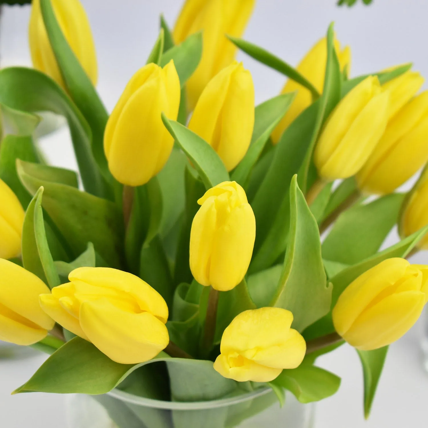 Set of 3 Graceful Flower Arrangements