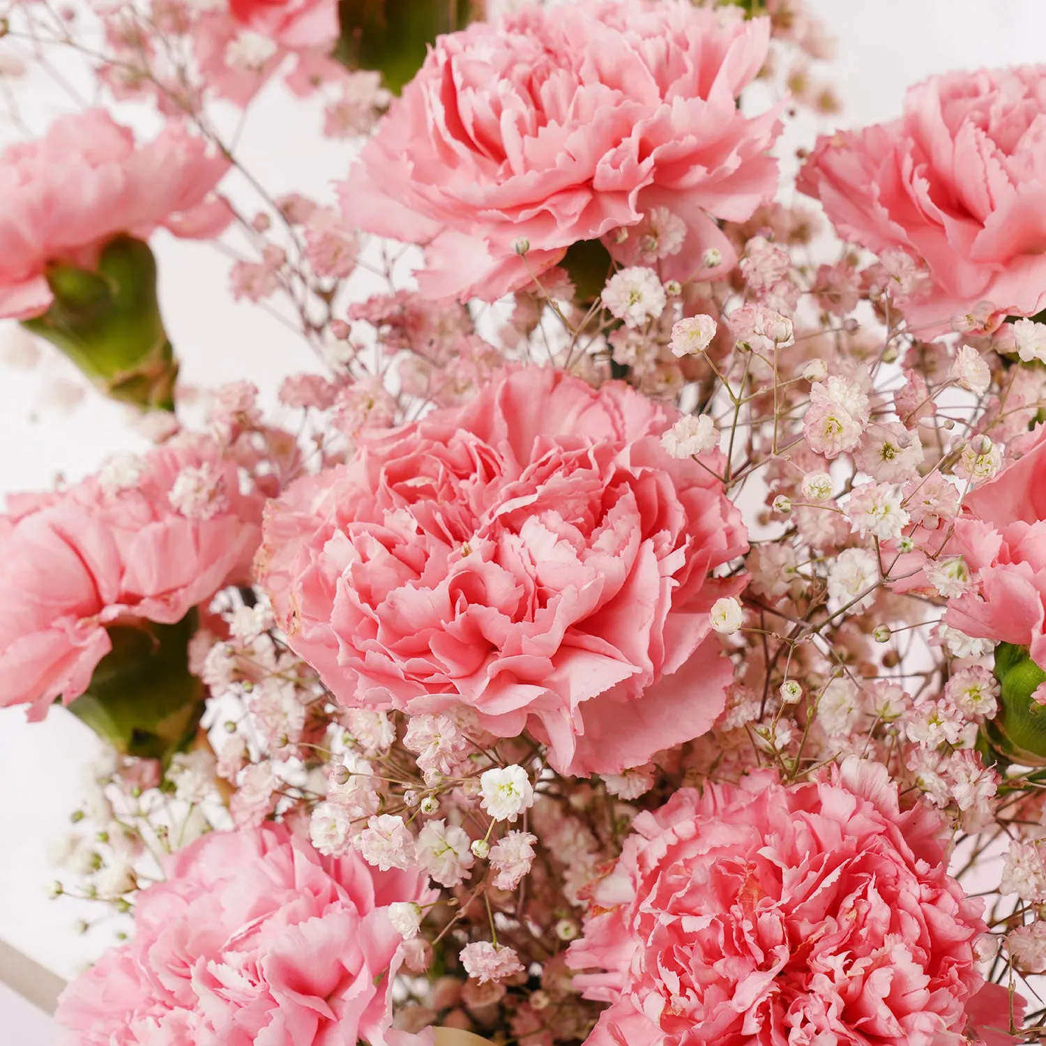 Lavender Glow: Elegant Pink Carnation & Gypso Bouquet