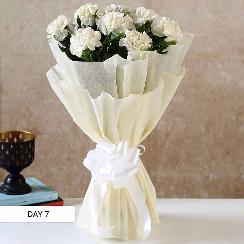 Beautiful Carnations Everyday