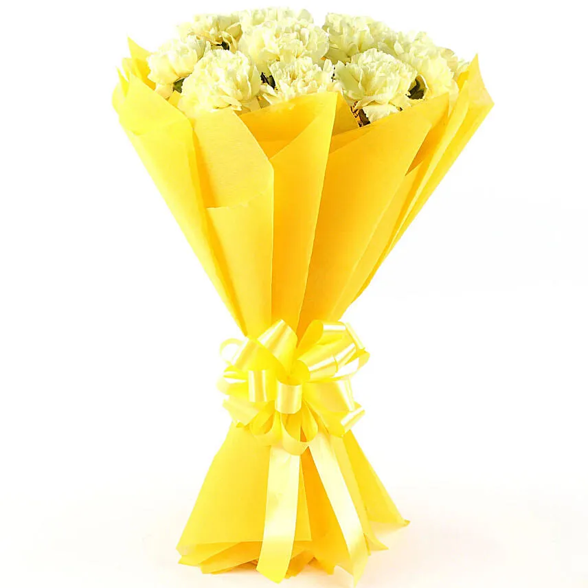 Beautufil carnation handtied bouquet