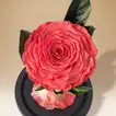 Timeless Elegance: Pink Forever Rose & Crimson Clover Jewelry Set for Mom
