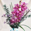 Orchid Vase With Chocolate Cake Combo