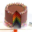 Spectrum of Delight: Exquisite Rainbow Layer Cake with Chocolate Ganache