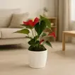Elegant Anthurium Red in Marble Finish Pot