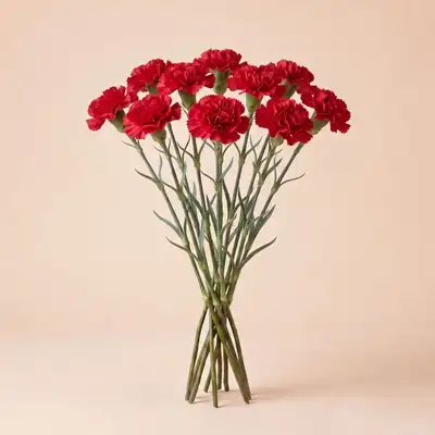 Stunning Bouquet of 10 Red Carnation Loose Stems