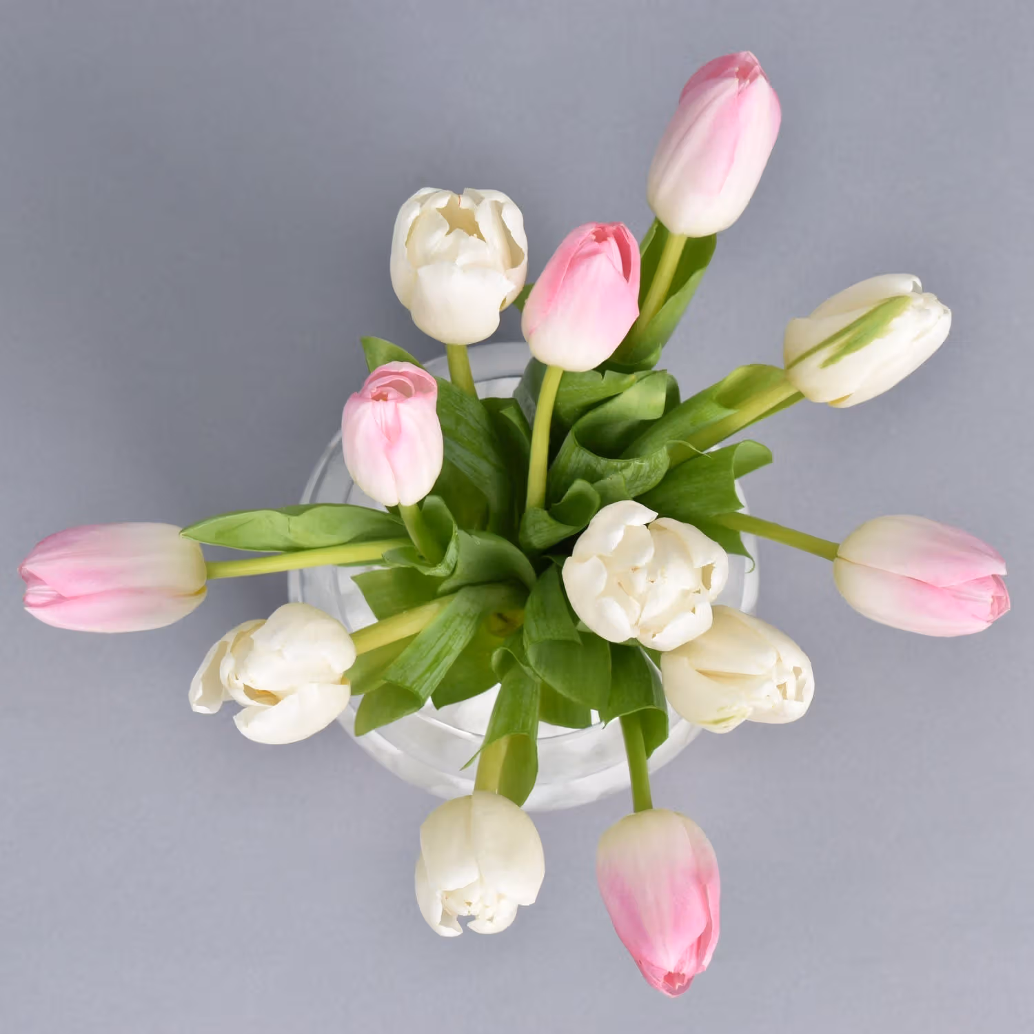 Elegant Arrangement of 10 Tulips in a Stylish Fish Bowl