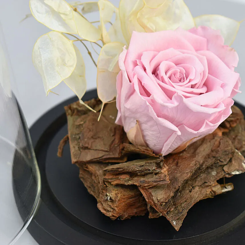 Graceful Pink Forever Rose in Dome