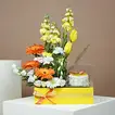 Gourmet Indulgence and Floral Delight Gift Box