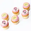 Delightful Chocolate Birthday Cupcakes - Set of 6 with Decorative Toppers