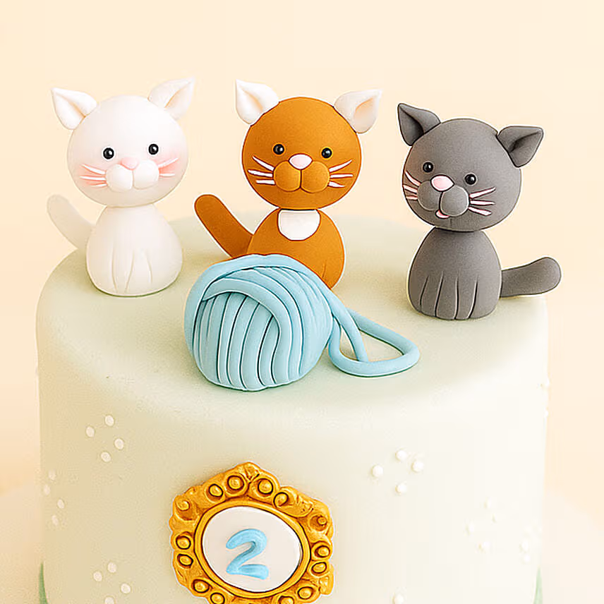 Chocolate Fudge Fondant Cake