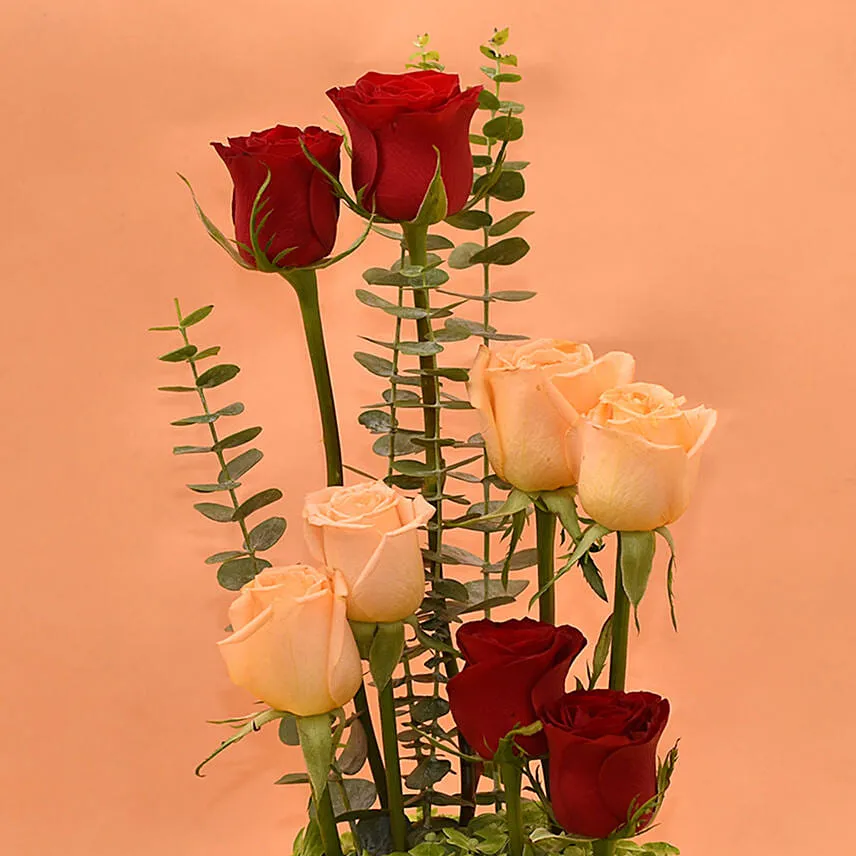 Adorable Roses In Square Personlised Glass Vase
