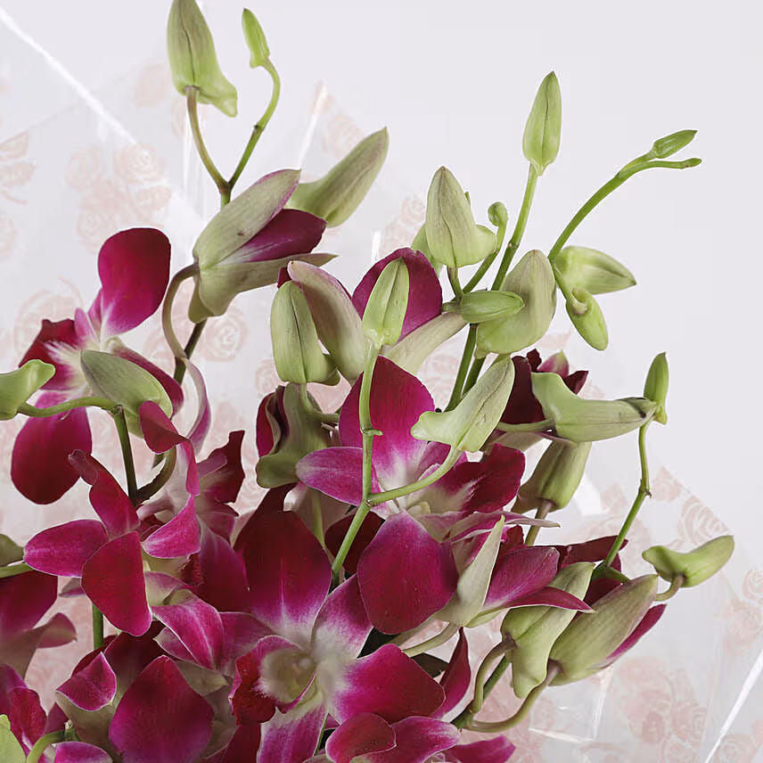 Six Royal Orchids Bunch