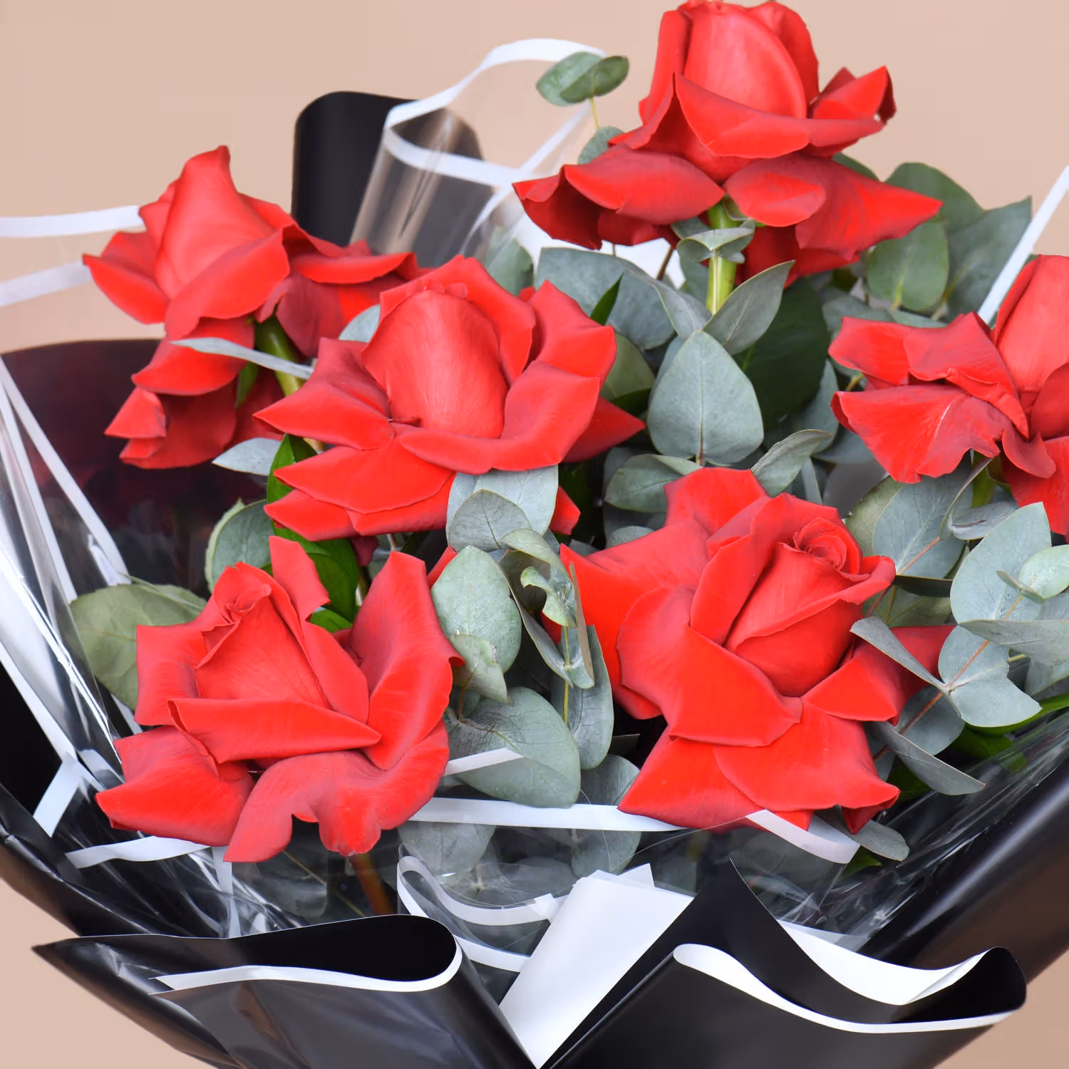 Elegant Bouquet of 6 Red Roses with Gypsophila and Eucalyptus