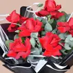 Elegant Bouquet of 6 Red Roses with Gypsophila and Eucalyptus