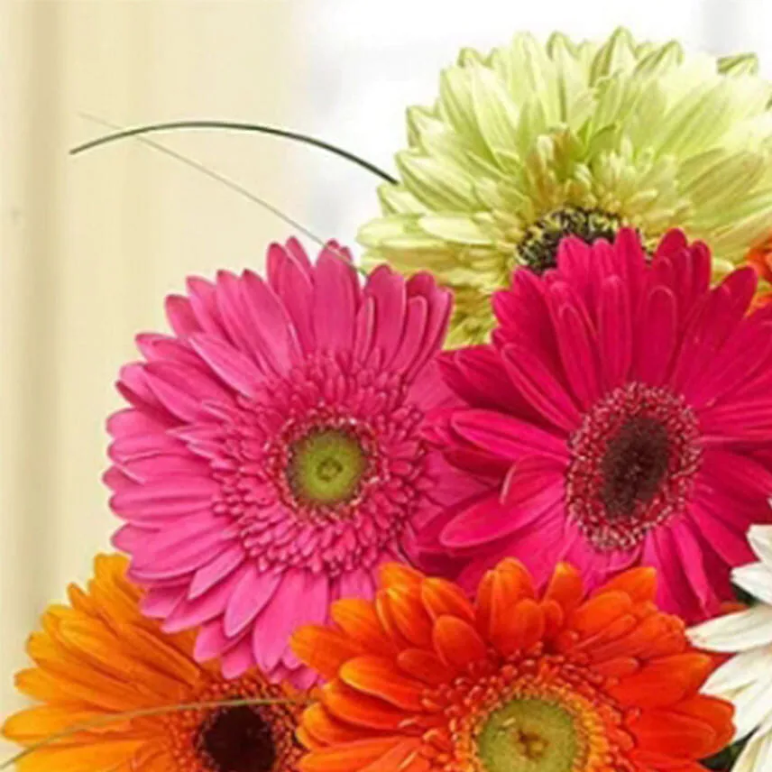 Gerbera Bouquet