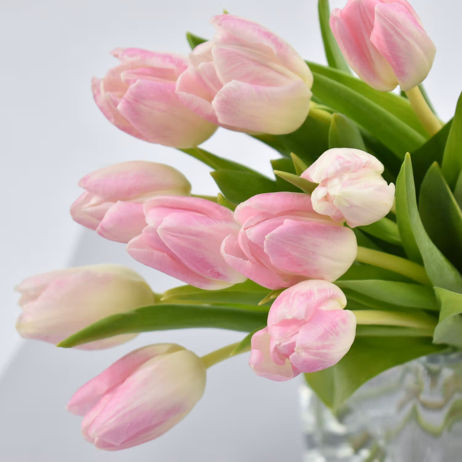 Elegant Pink Roses and Tulips Arrangement in a Glass Vase