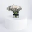 Elegant Arrangement: 9 White Roses in a Glass Vase