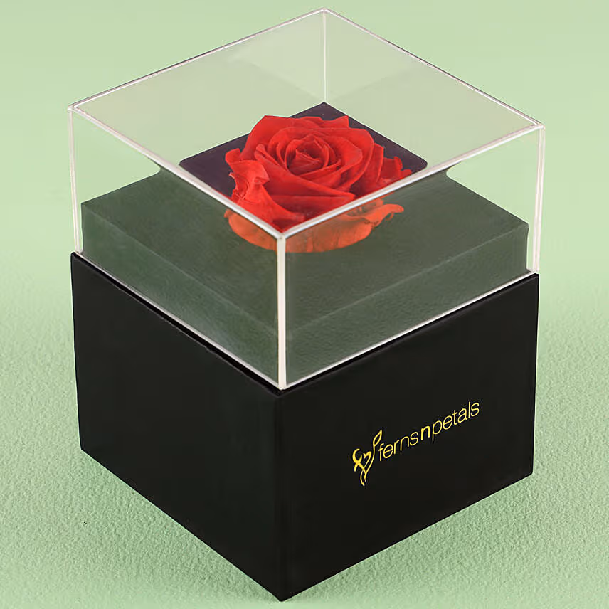 Forever Red Rose In Desingner Box for Valentines