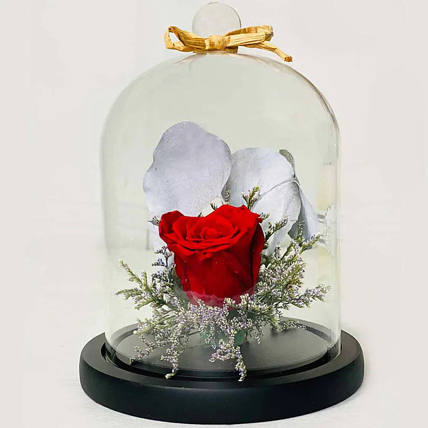 Red Forever Rose In Glass Dome with Teddy for Valentines