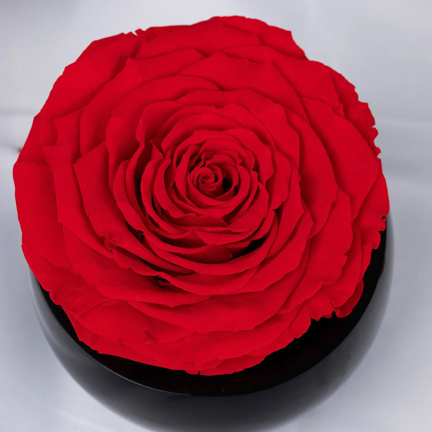Forever Red Crystal Vase | Eternal Love Red Rose Arrangement