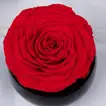 Forever Red Crystal Vase | Eternal Love Red Rose Arrangement