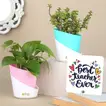 Elegant Jade and Money Plant Set with Teacher's Day Table Top Gift
