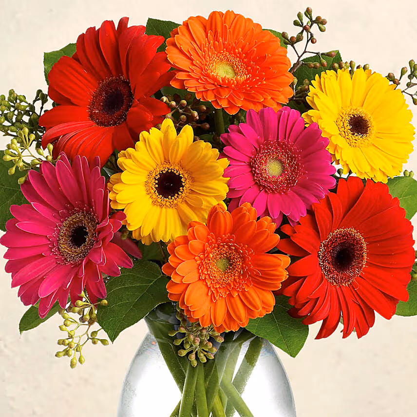 Heavenly Multicoloured Gerberas With Chocolate Cake
