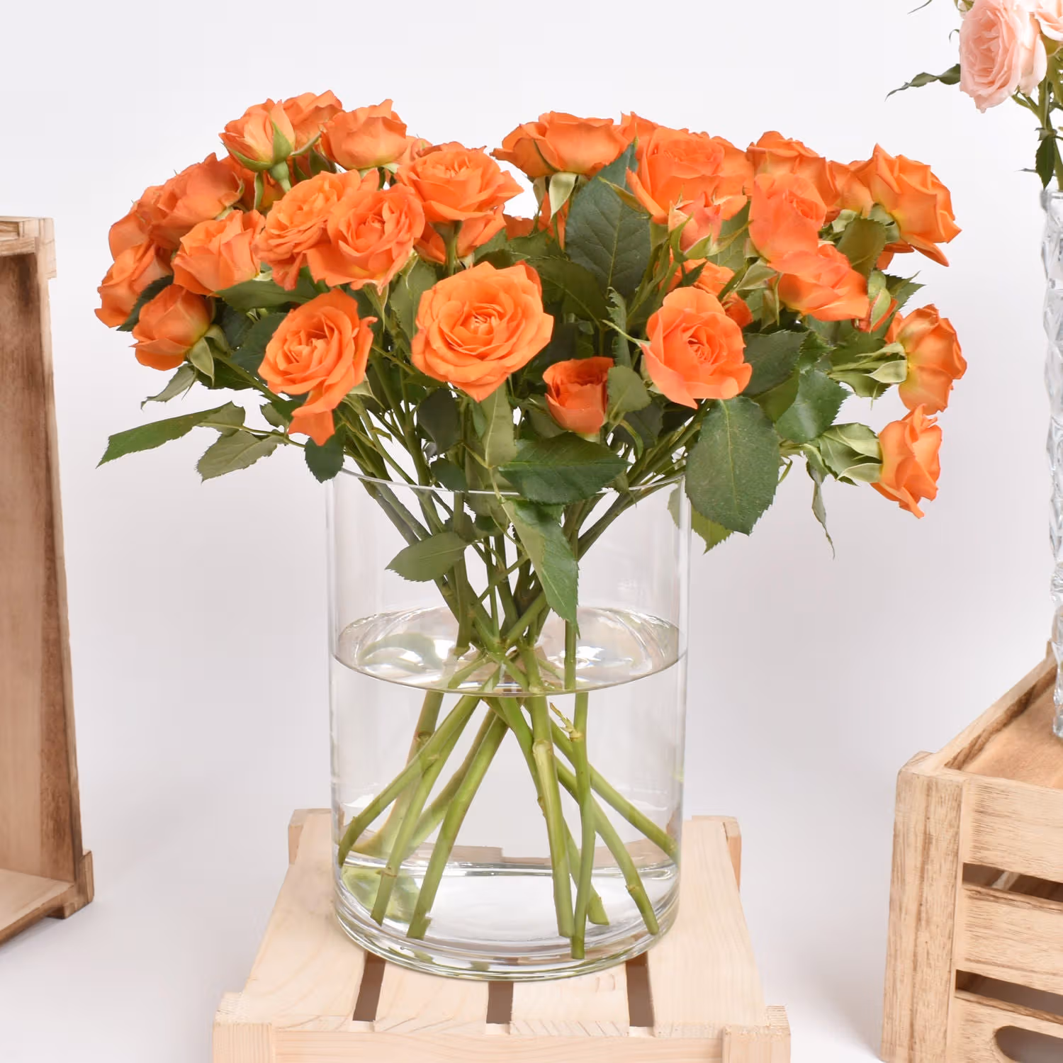 Trio of Rose Beauty