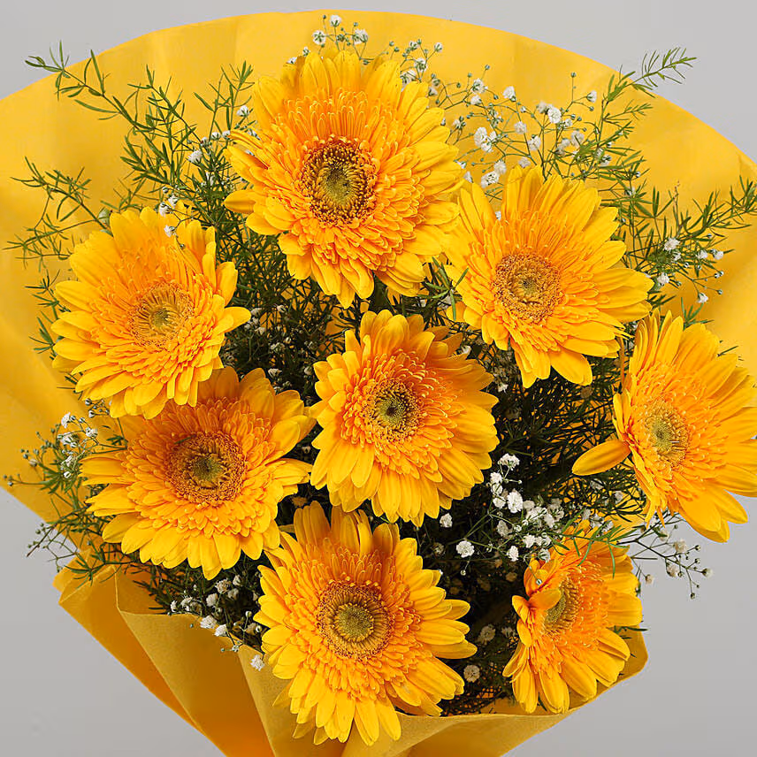 8 Yellow Mystique Gerbera Blossoms