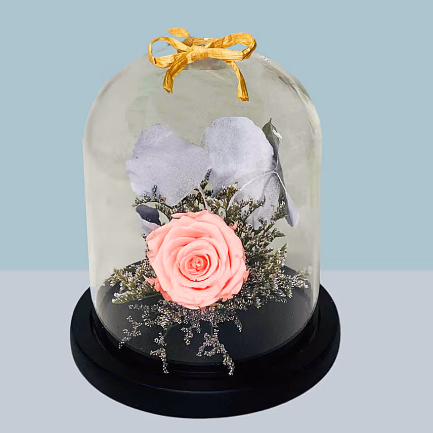 Pink Forever Rose In Glass Dome For Valentines Day