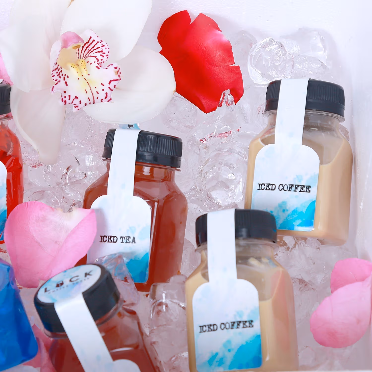 Sweet Surprised Iced Drink Pack