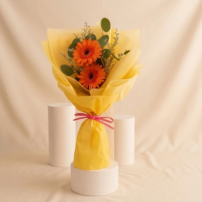 Cherry Red Gerbera Bouquet