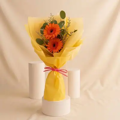 Cherry Red Gerbera Bouquet