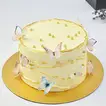 Winged Wishes Delight Chocolate Cake with Elegant Butterflies