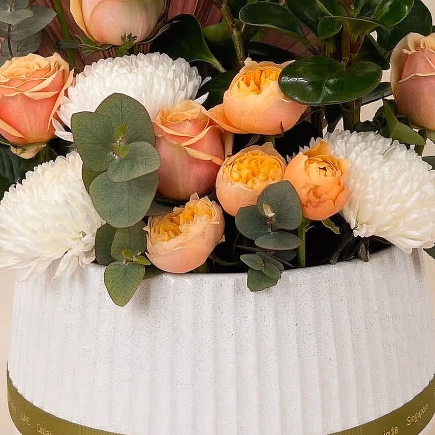 Champagne Rose & Peperomia Garden Vase