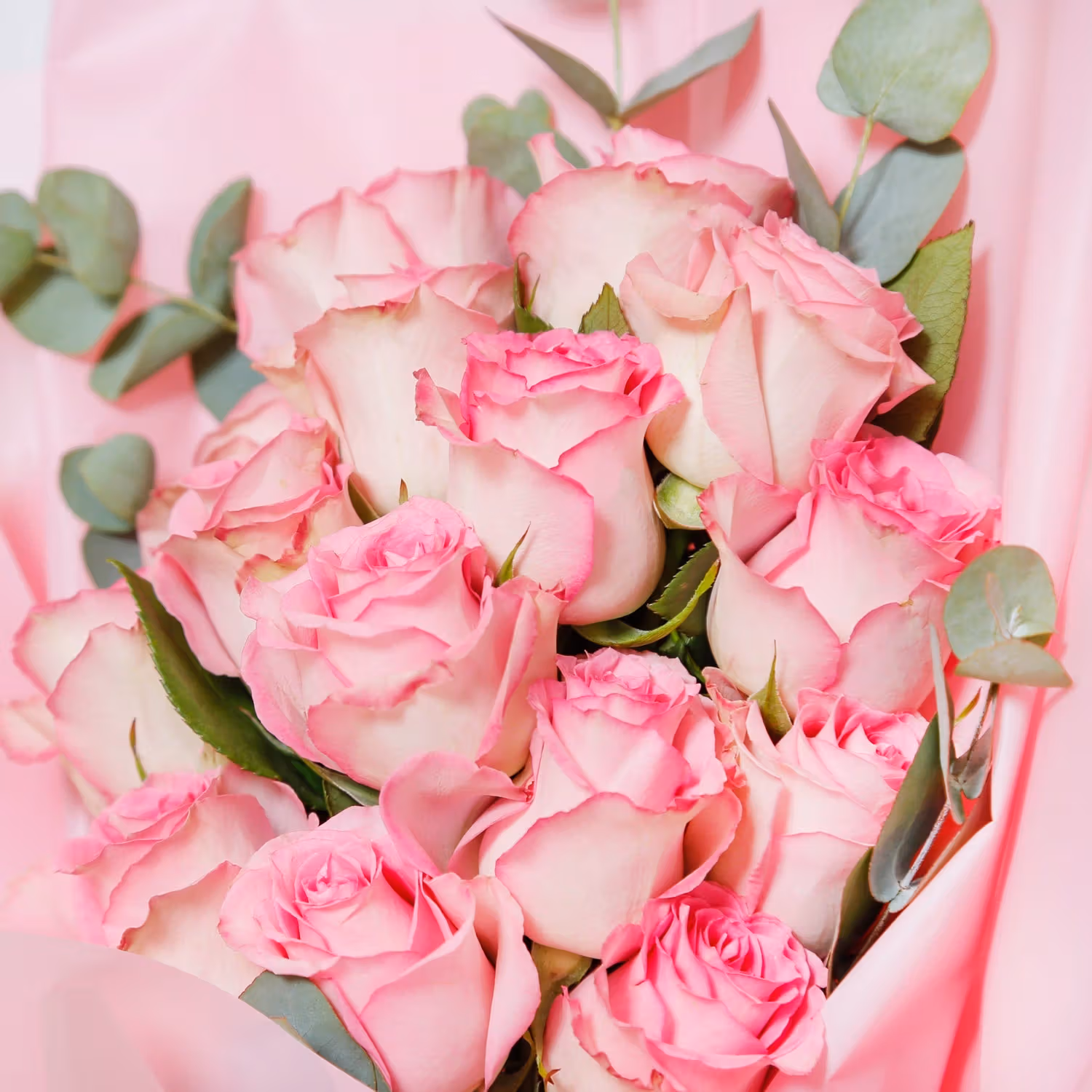 Stunning Pink Roses Bouquet with Eucalyptus and Elegant Wrap