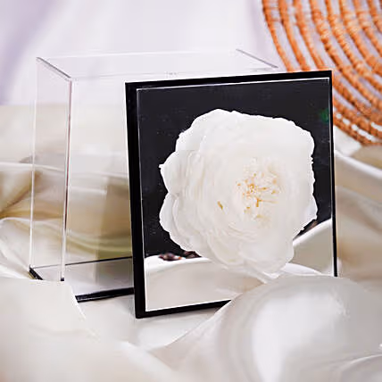 Elegant White Preserved Peony in Luxurious Mirror Box