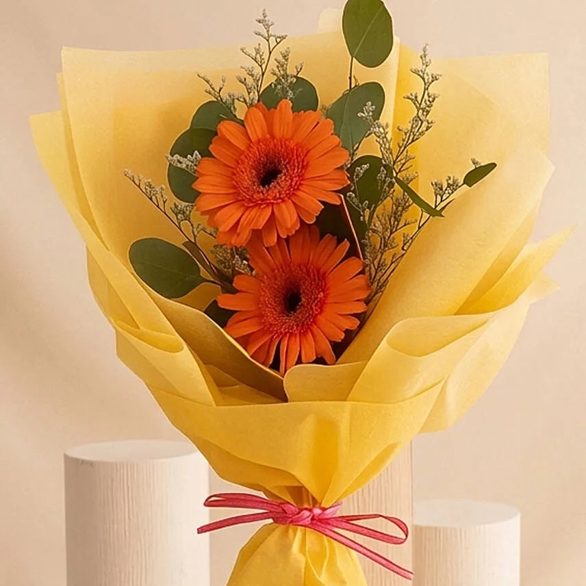 Cherry Red Gerbera Bouquet
